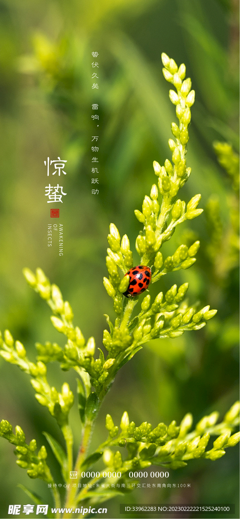 惊蛰