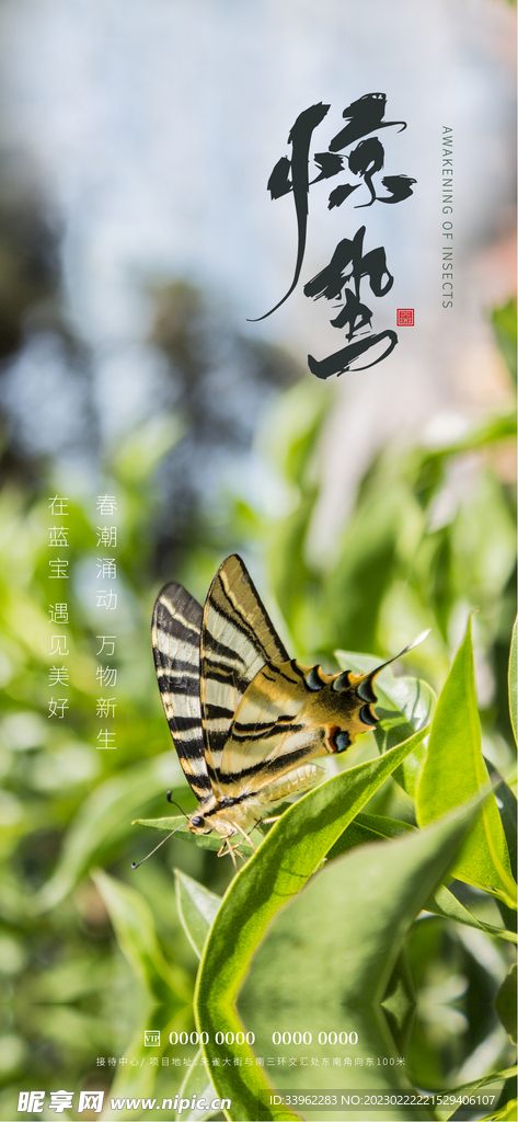 惊蛰