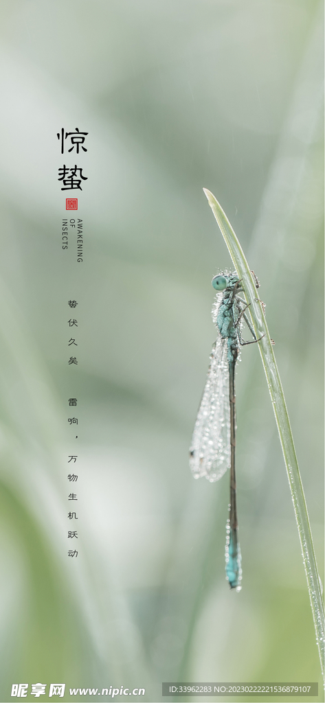 惊蛰