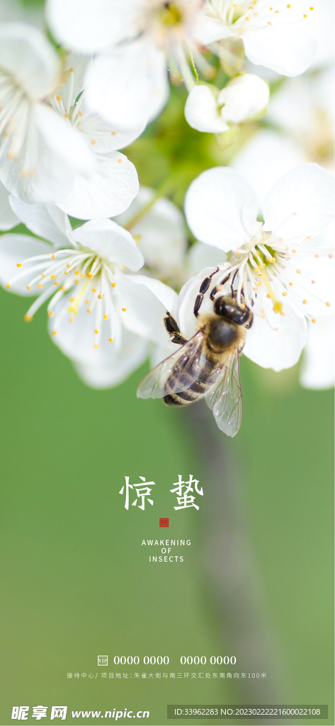 惊蛰