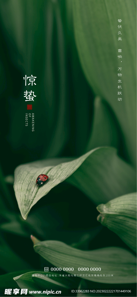 惊蛰