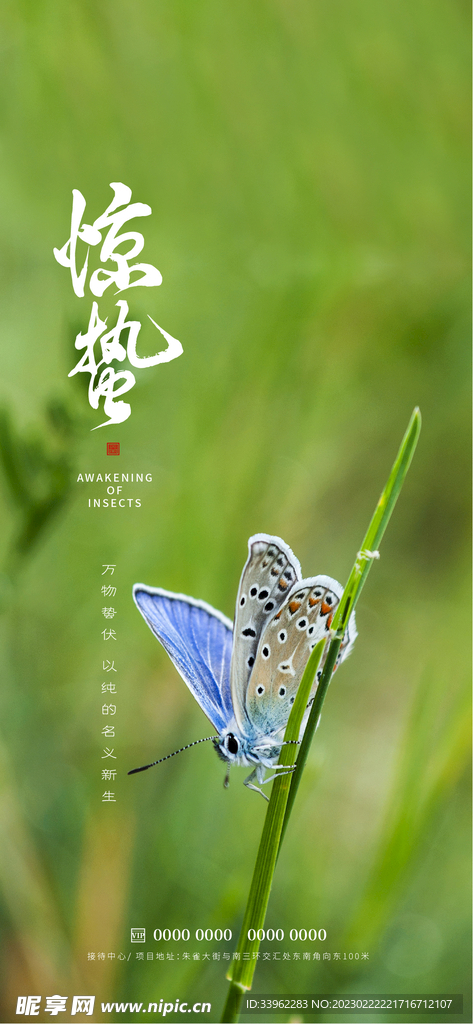 惊蛰