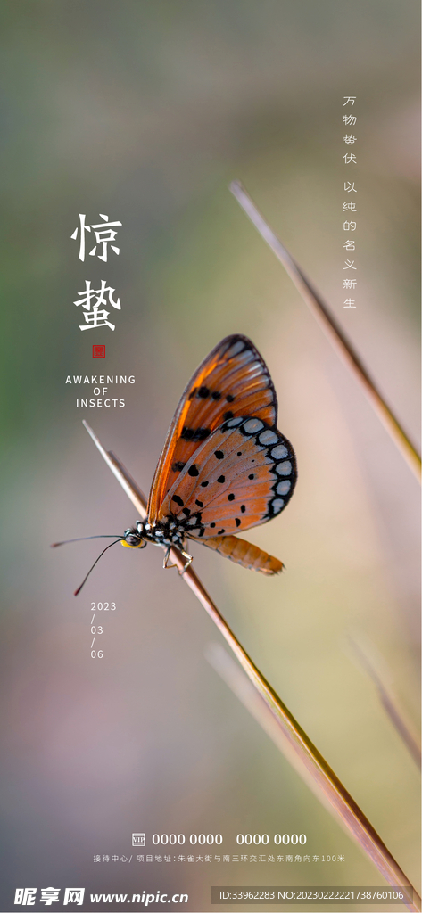 惊蛰