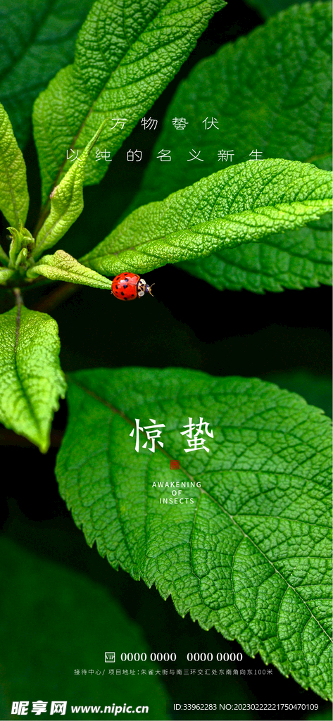 惊蛰