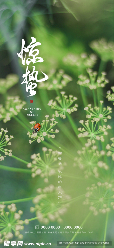 惊蛰