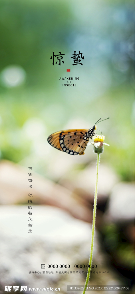 惊蛰