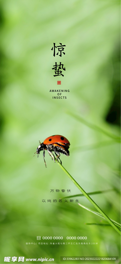 惊蛰