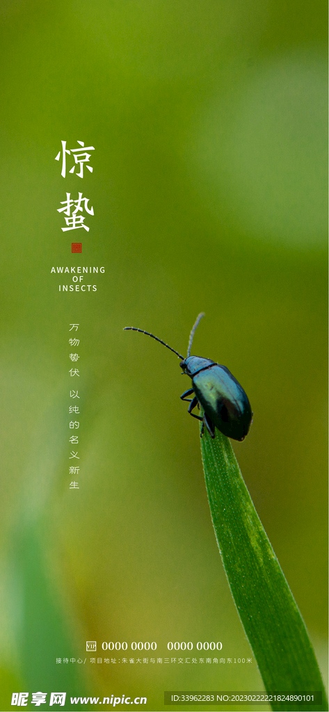 惊蛰