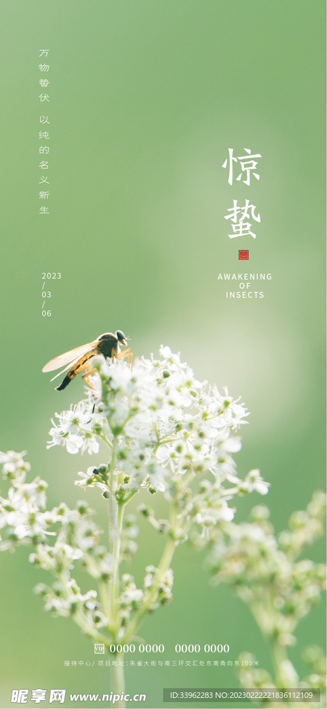惊蛰