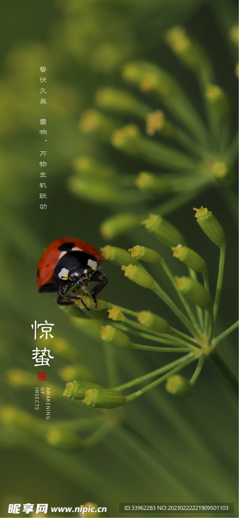 惊蛰