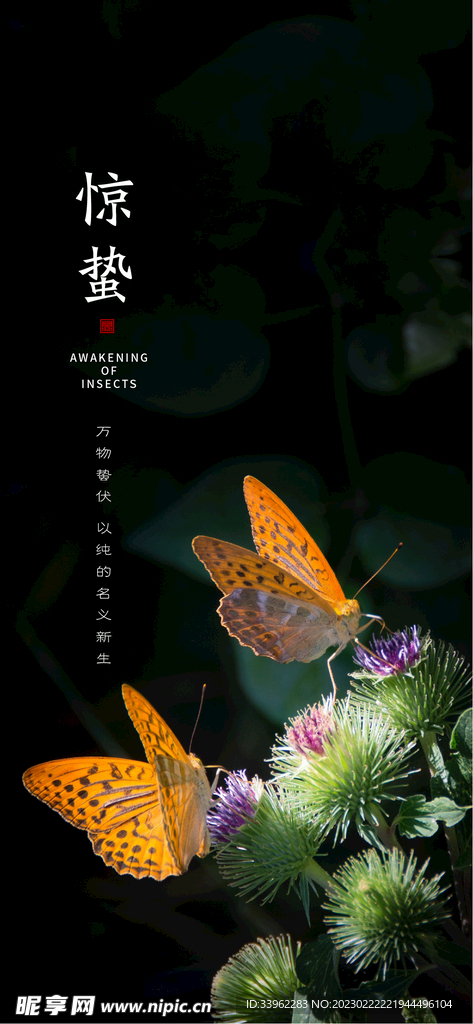 惊蛰