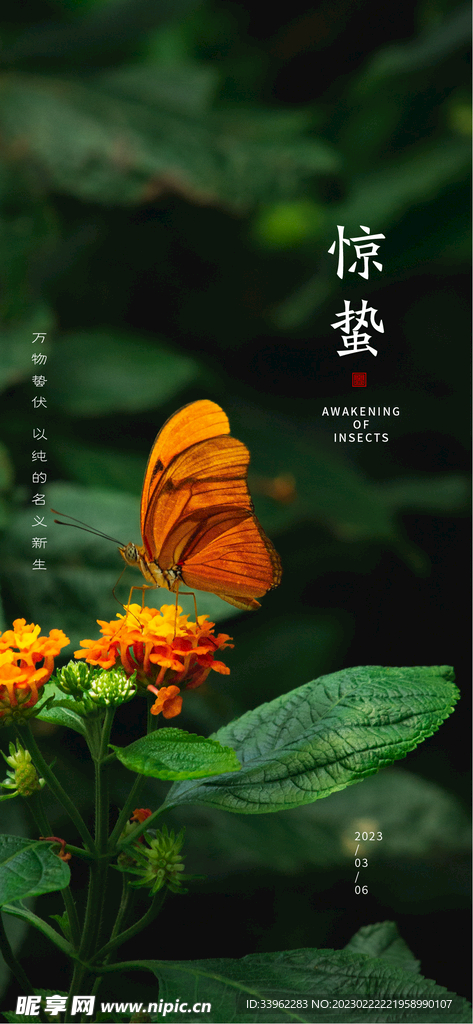 惊蛰