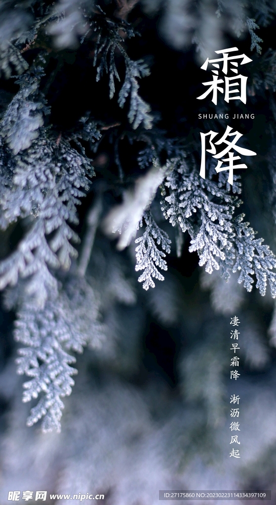 霜降
