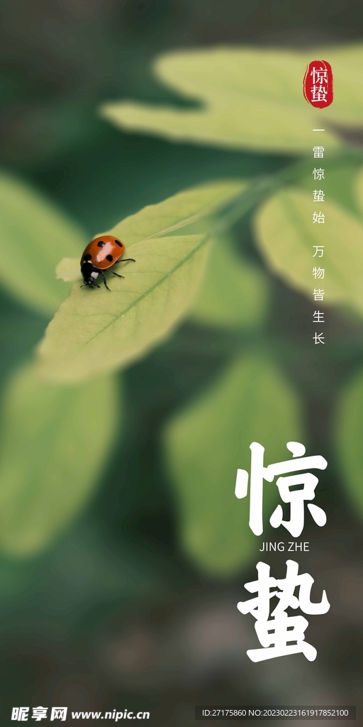 惊蛰