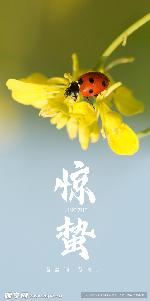 惊蛰