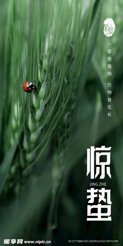 惊蛰