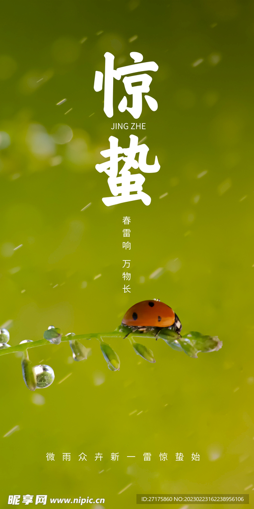惊蛰