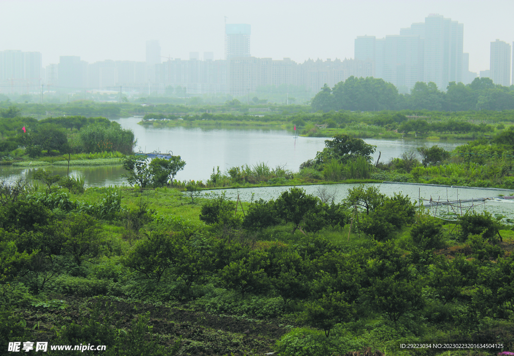 风景