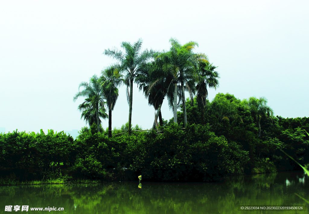 风景  