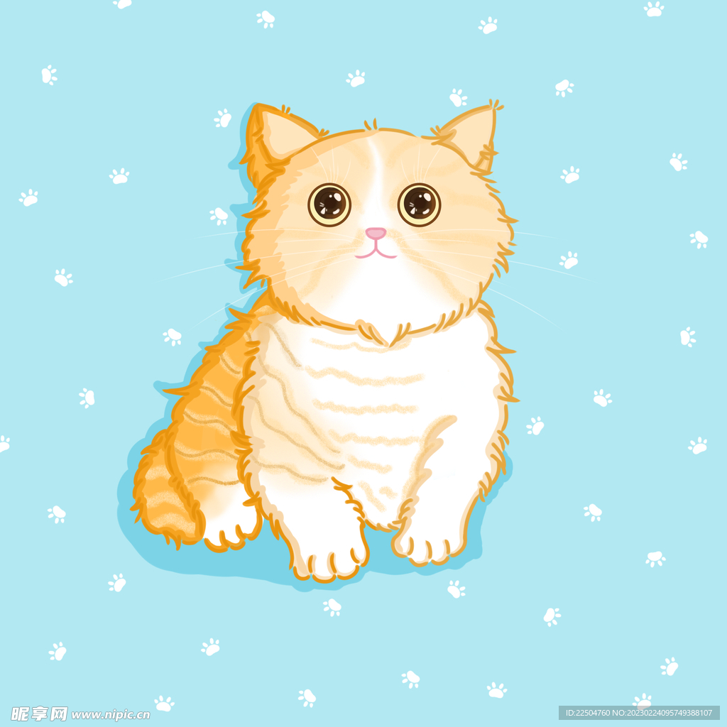 手绘插画宠物猫