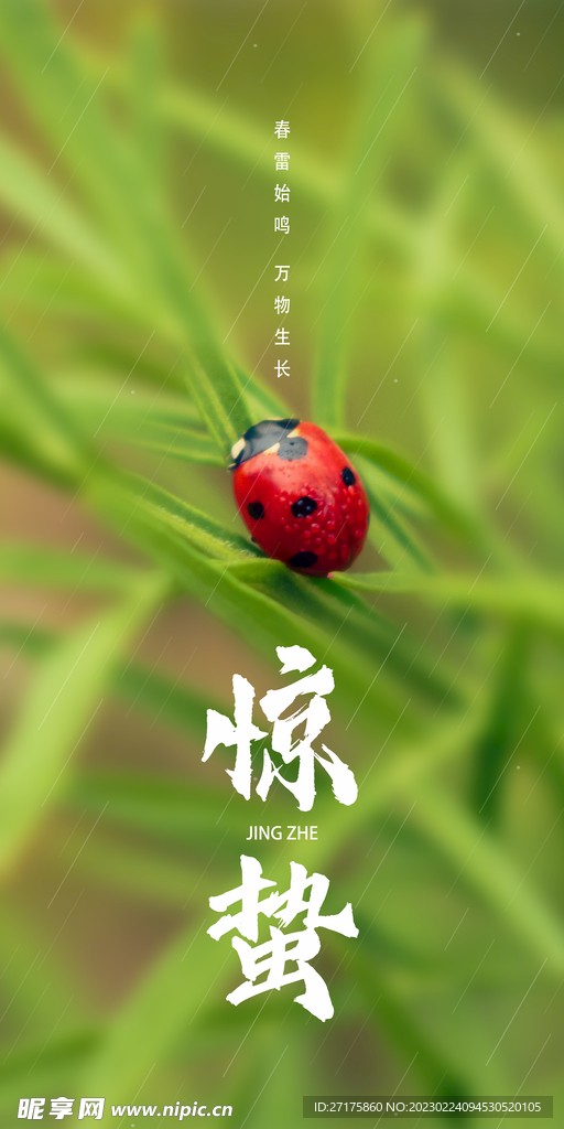 惊蛰