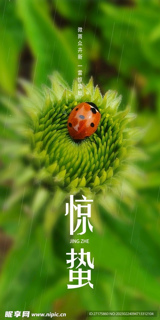 惊蛰