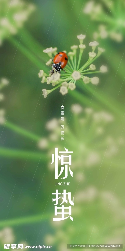 惊蛰