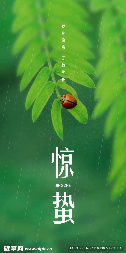 惊蛰