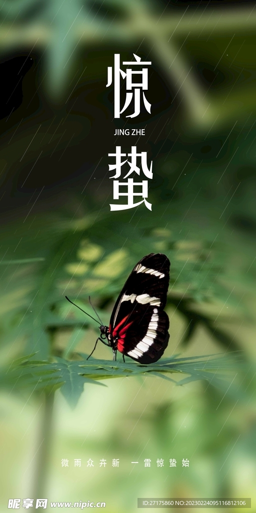 惊蛰