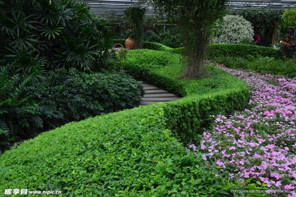温室花草风景  