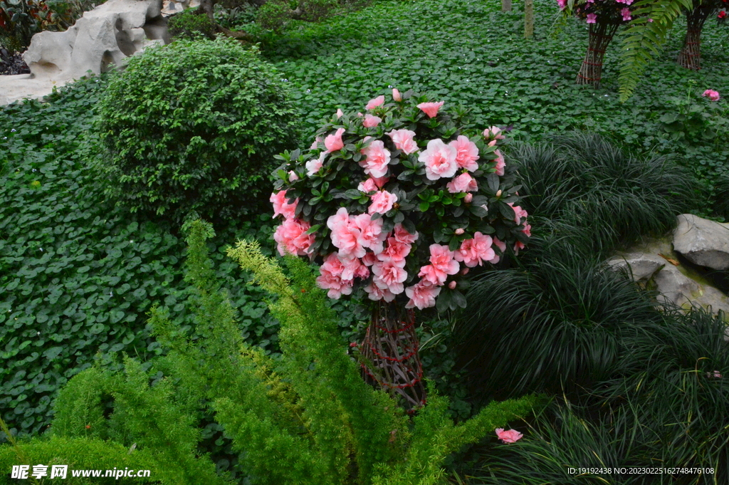 温室花草风景 