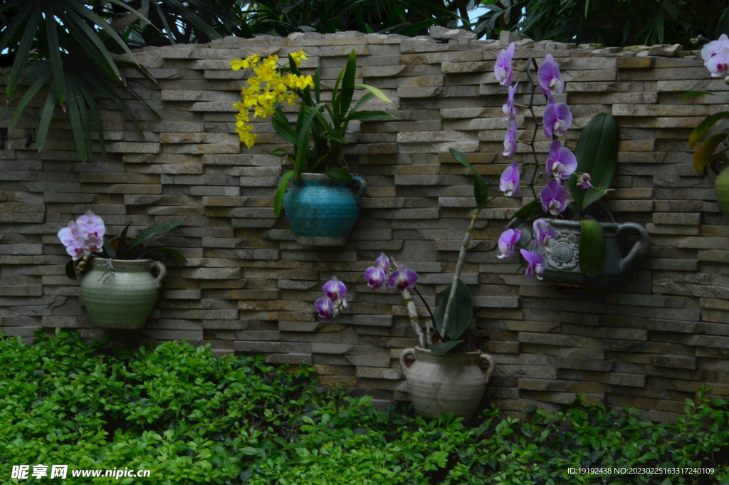 温室花草风景