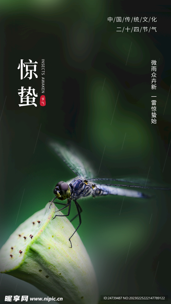 惊蛰