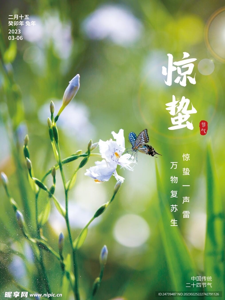 惊蛰