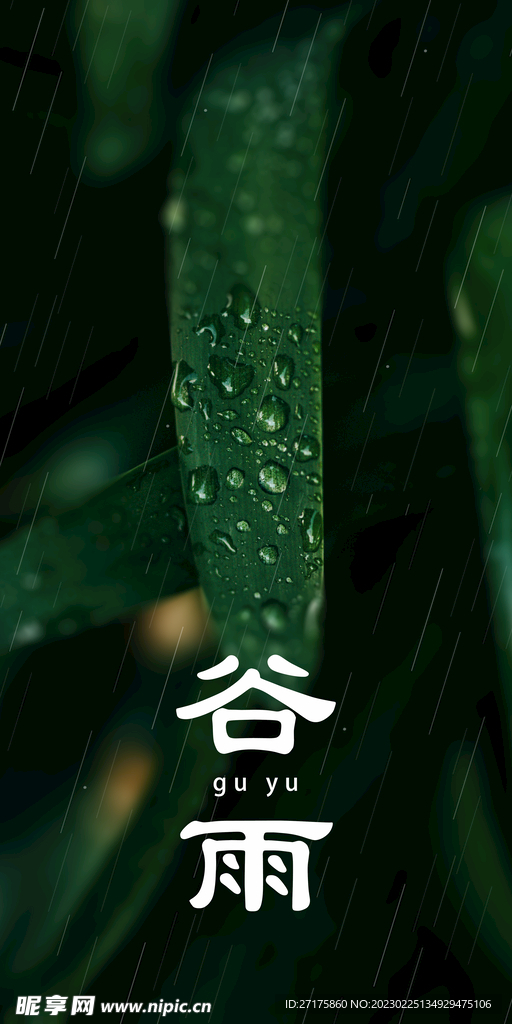 谷雨