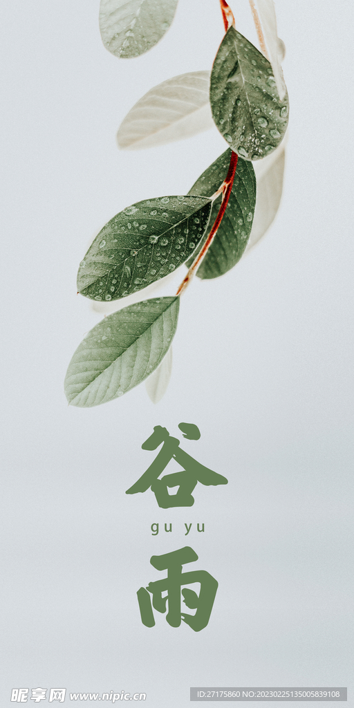 谷雨