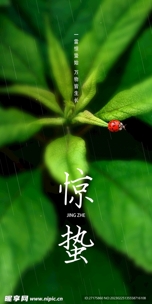 惊蛰