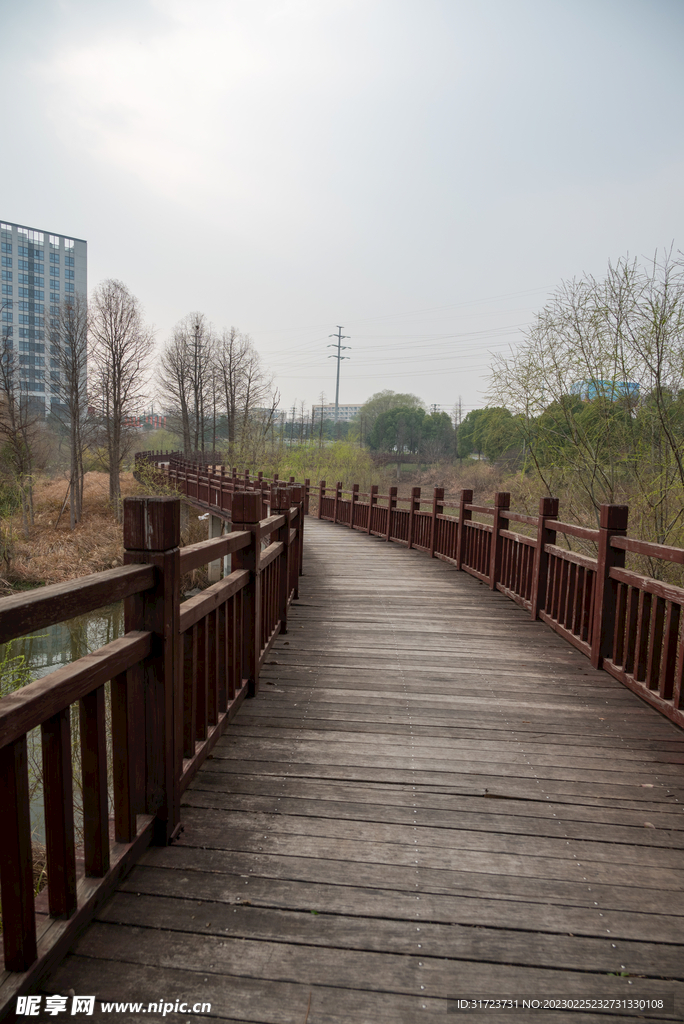公园风景