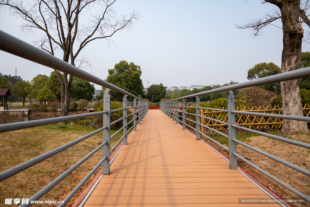 公园风景