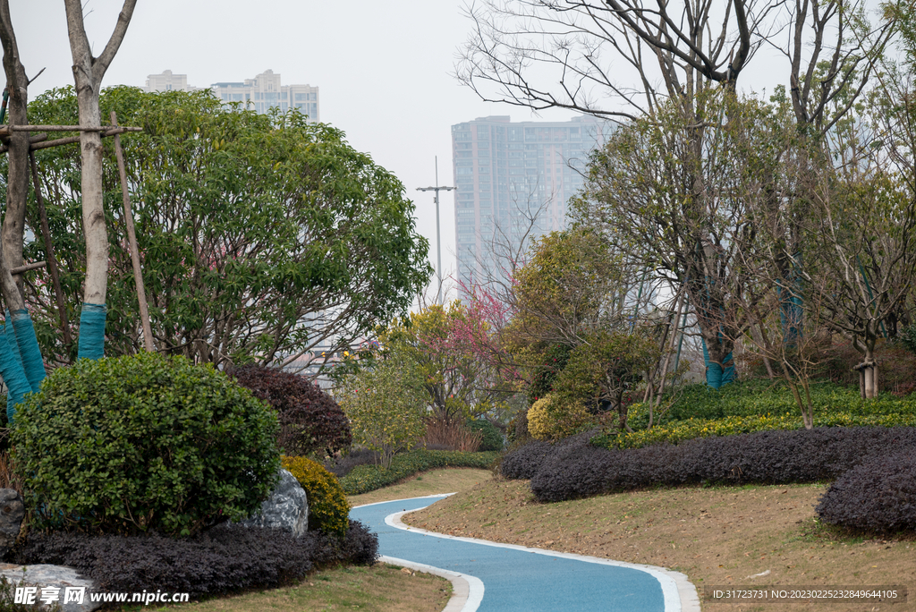 公园风景