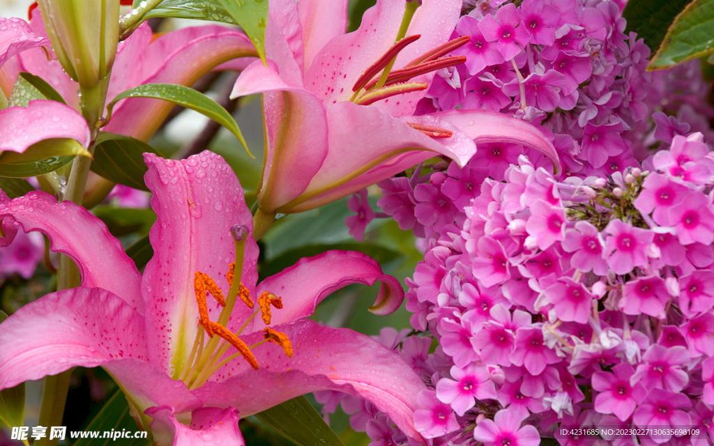 花