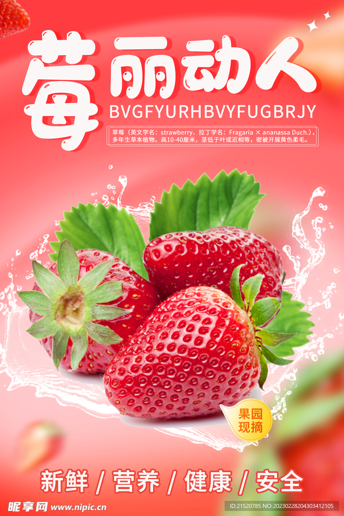 新鲜奶莓草莓红色海报展板