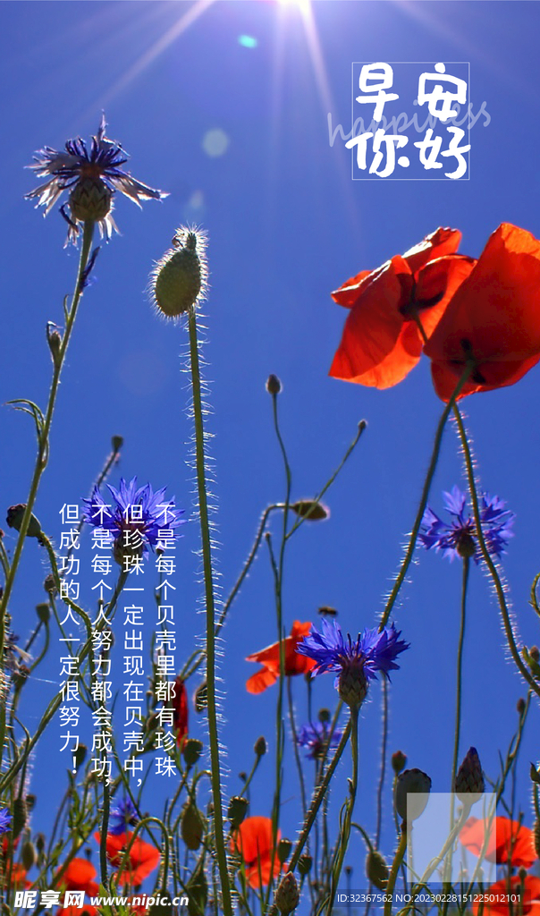 励志早安图