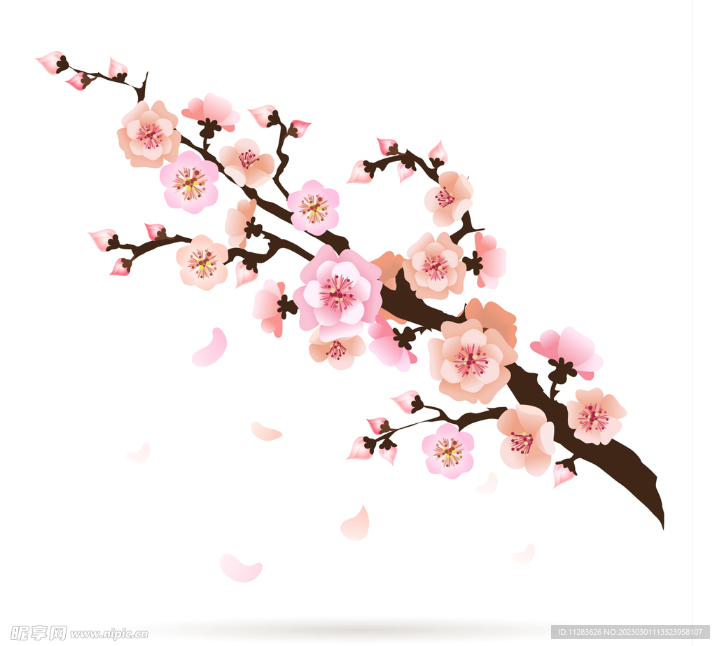 桃花插画