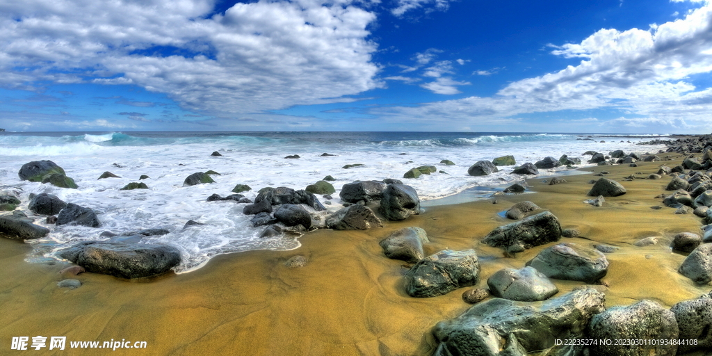 大海