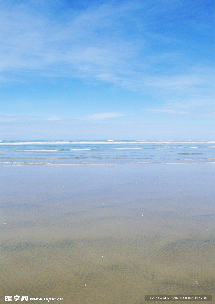 大海
