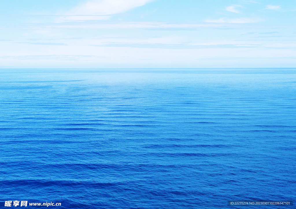 大海