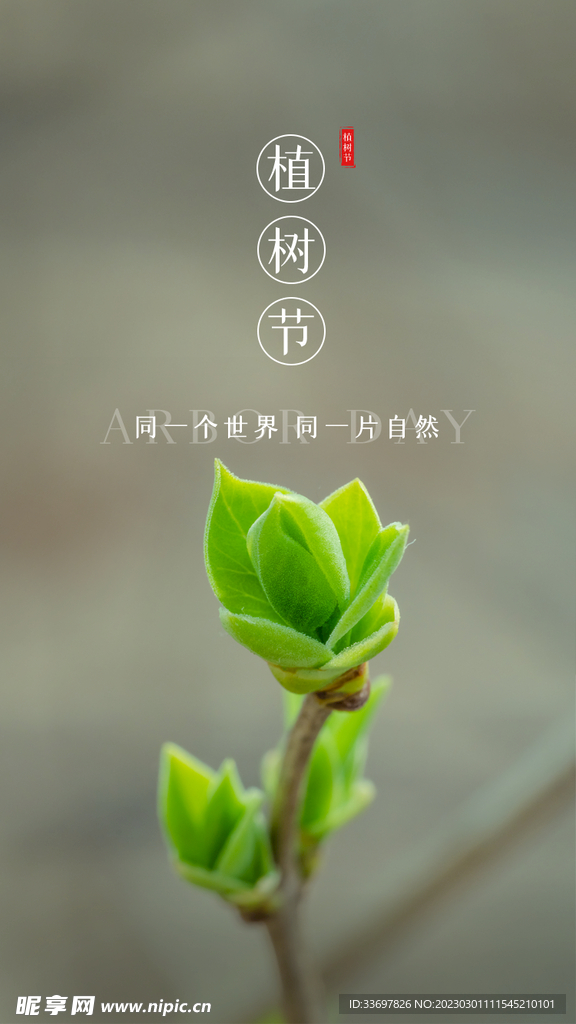 植树节