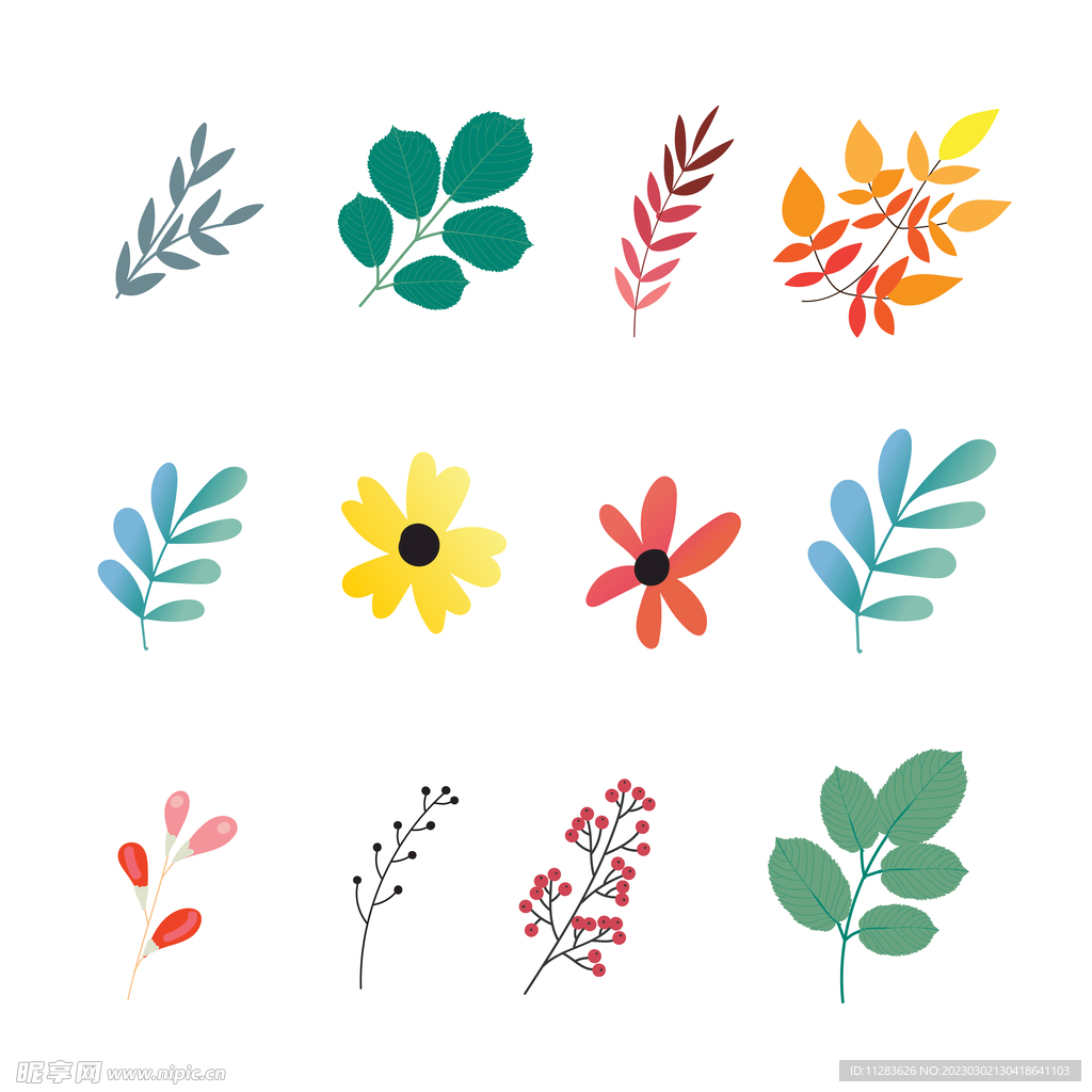 植物树叶素材