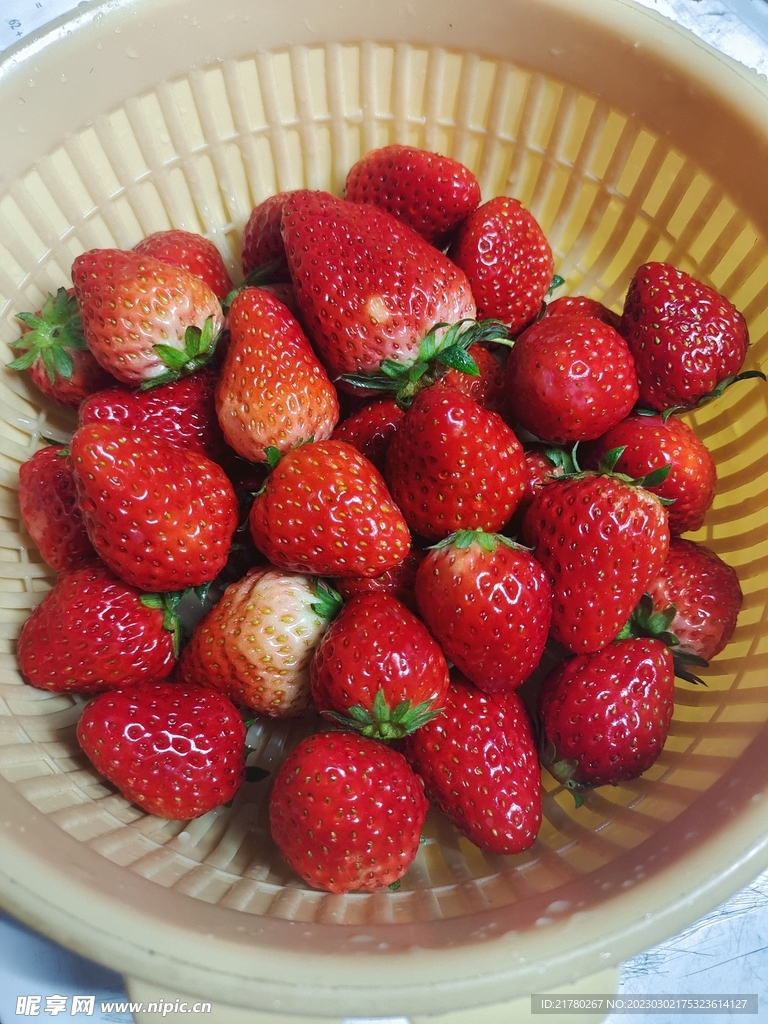 草莓